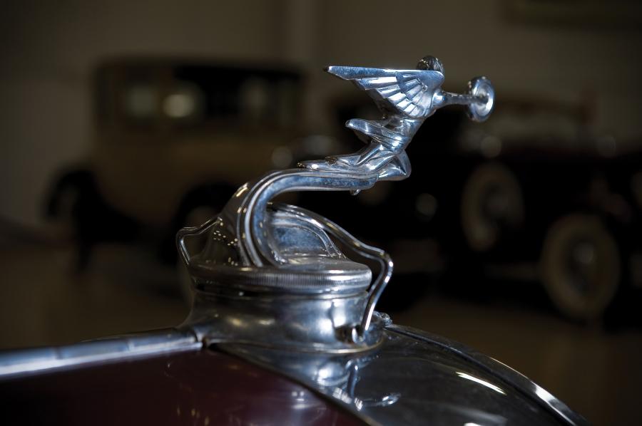  Packard Model 833 Dual Cowl Sport Phaeton 1931 года  (фото 6 из 24)